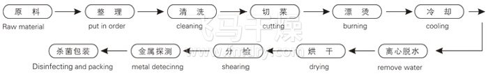 脫水蔬菜帶式幹（gàn）燥工藝（yì）流程